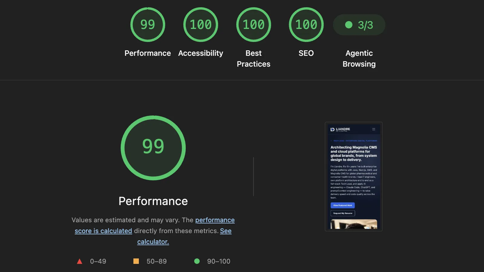 Chrome Lighthouse results for liandrejohn.com with top scores across Performance, Accessibility, Best Practices, and SEO.